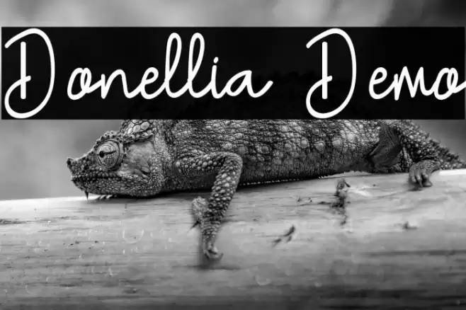 Donellia Demo Font examples