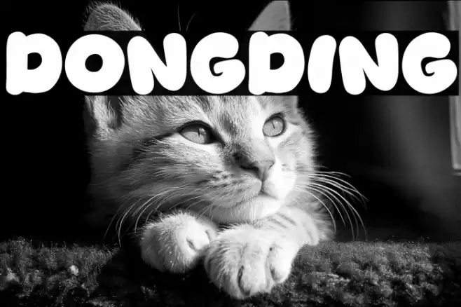 Dongding Caratteri examples