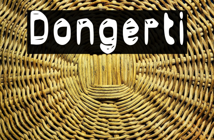 Dongerti Example 2