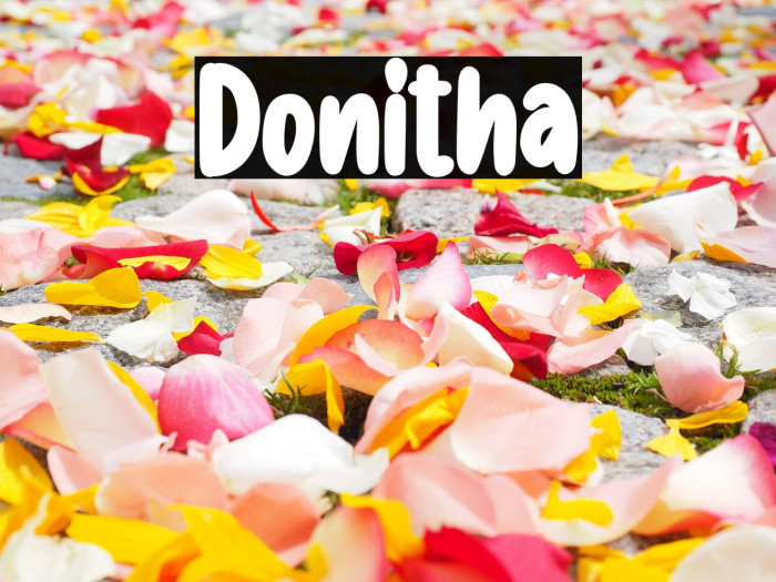 Donitha Example 1