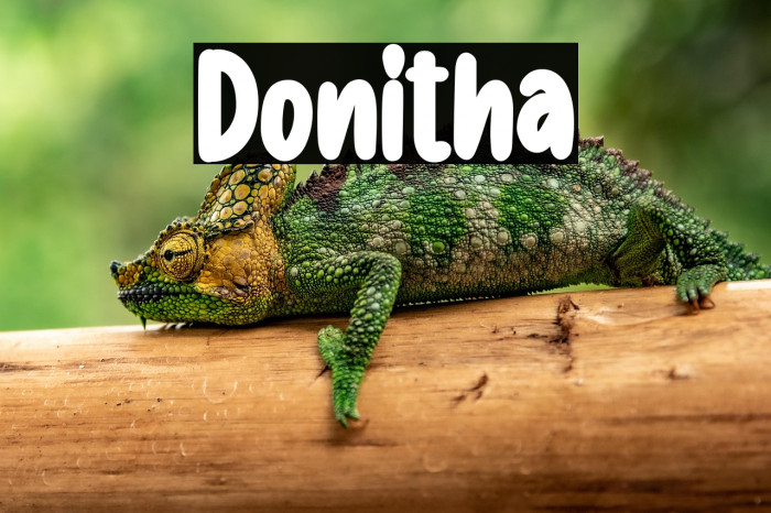 Donitha Example 2