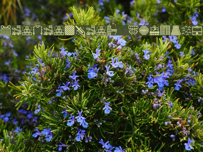 Donjonikons Regular Example 2