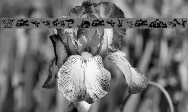 Donkey Kong World Font examples