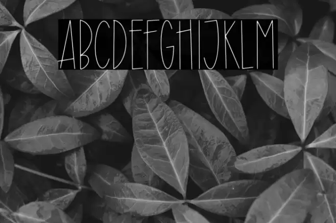 Donkey Monster Font examples