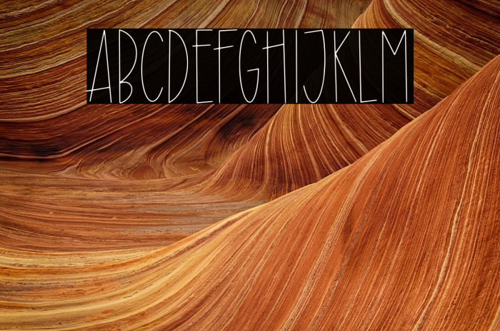 Donkey Monster Example 3