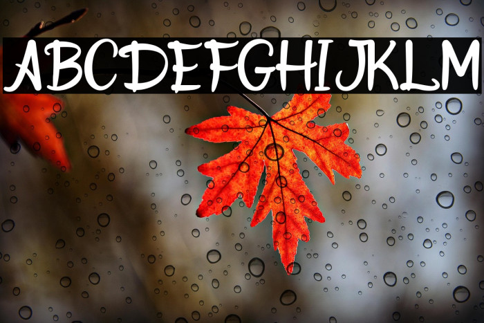 Donkey Stone Example 2