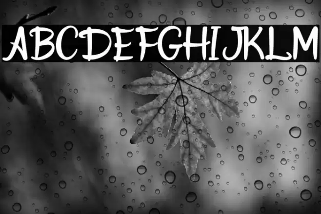 Donkey Stone Font examples