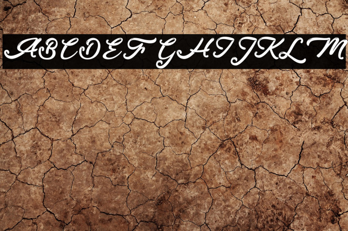 Donkey Talk - Personal Use Example 1