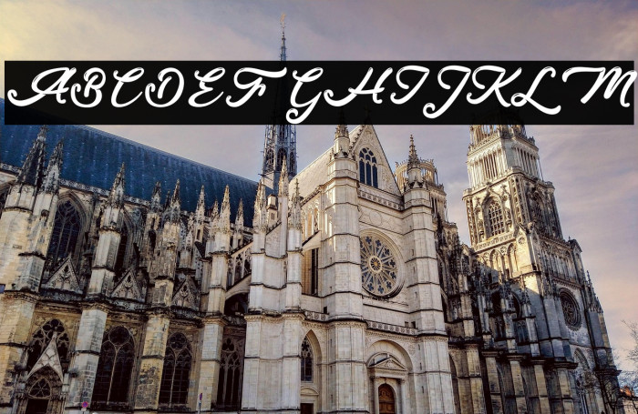 Donkey Talk - Personal Use Example 2