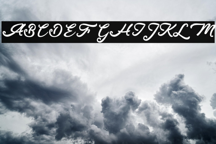 Donkey Talk - Personal Use Example 3