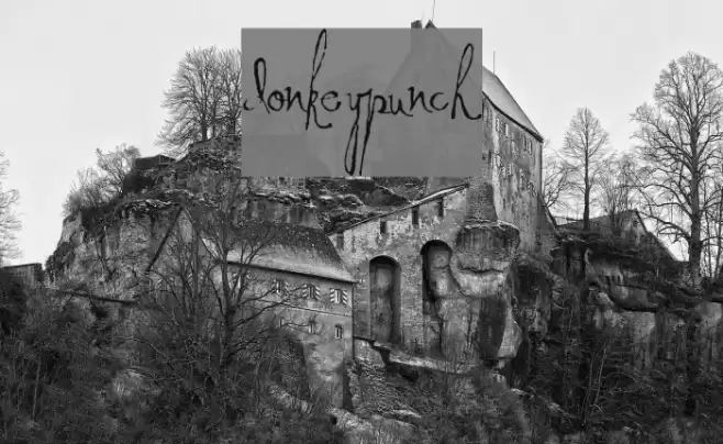 DonkeyPunch Font examples