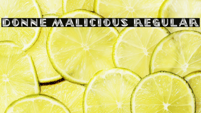 Donne Malicious Regular Example 1