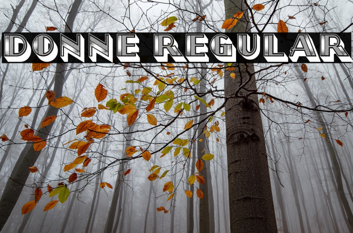 Donne Regular Example 1