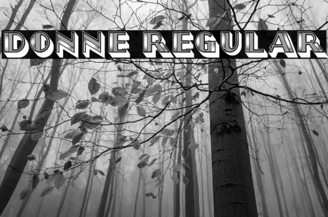 Donne Regular Font examples