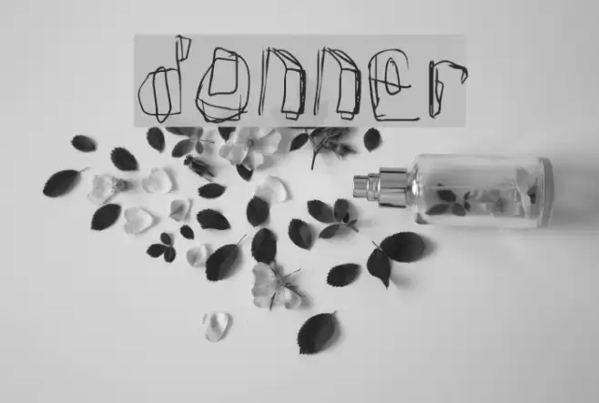 Donner Шрифта examples