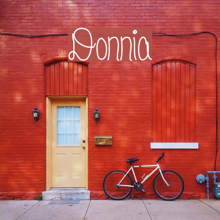 Donnia Font examples