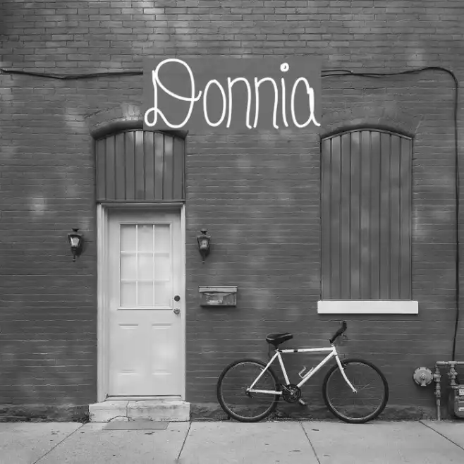 Donnia Example 1