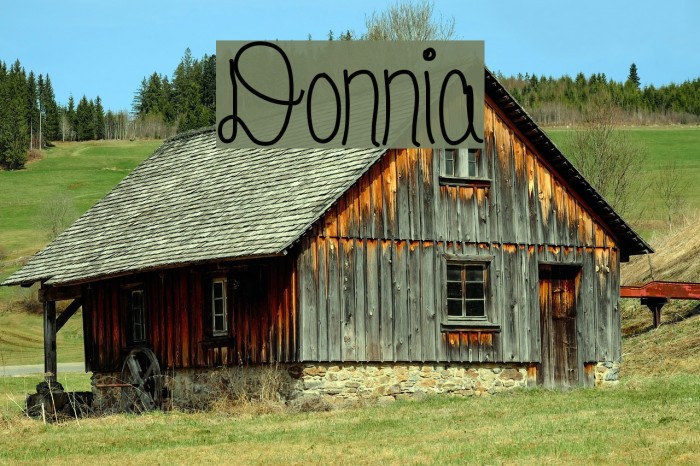Donnia Font examples