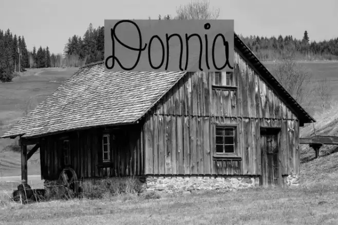 Donnia Example 2