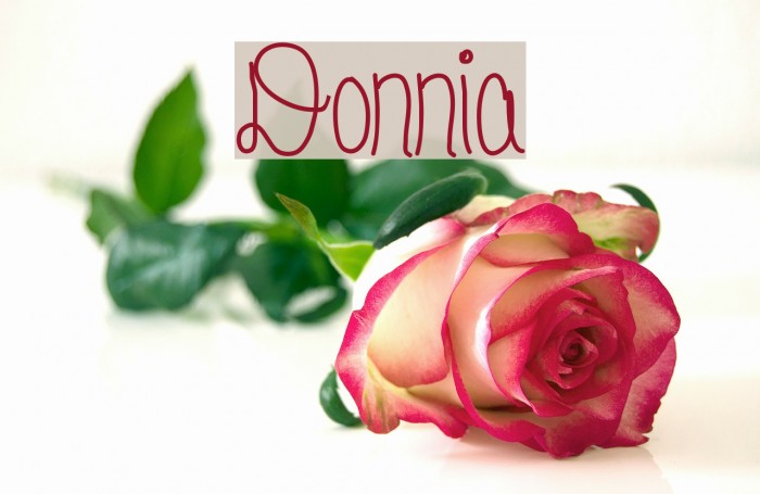 Donnia Font examples