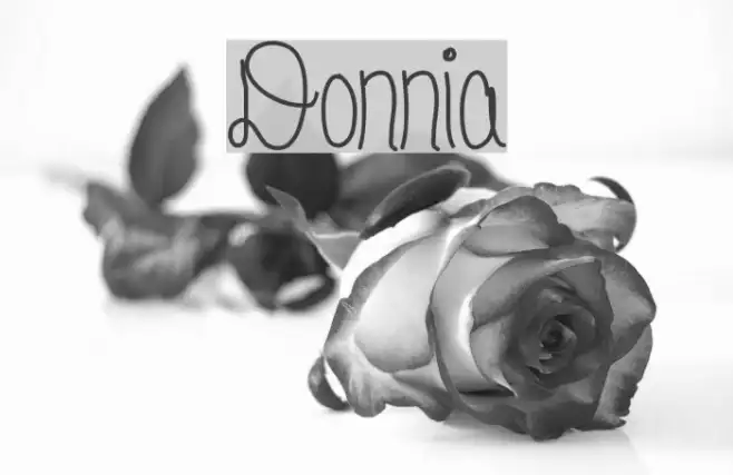 Donnia Example 3