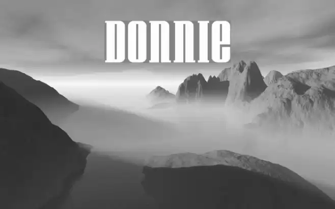 Donnie Fonte examples