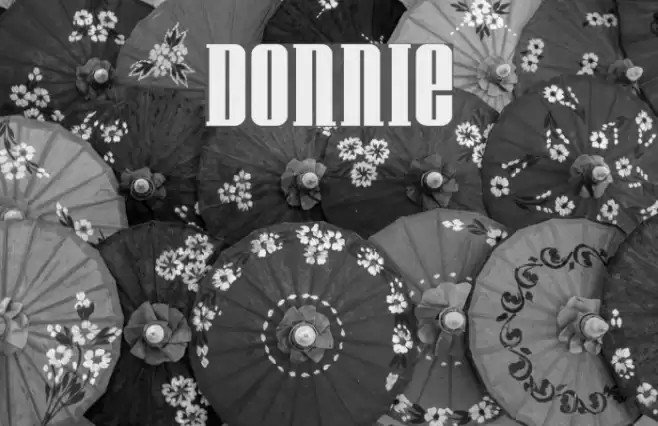 Donnie Fonte examples
