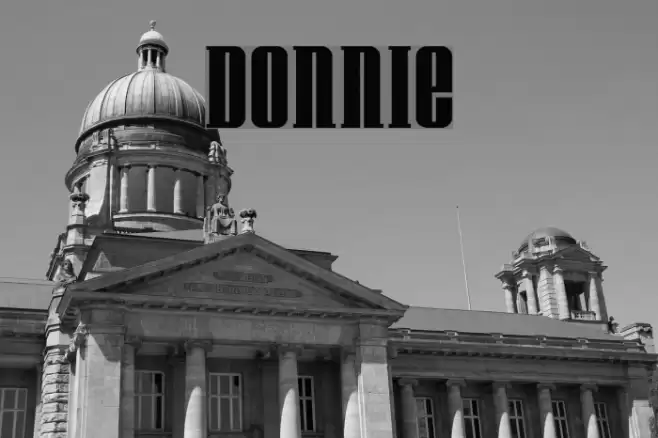 Donnie Fonte examples