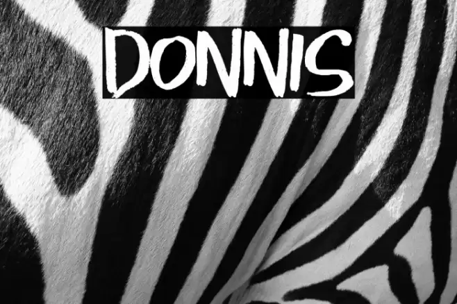 Donnis Font examples
