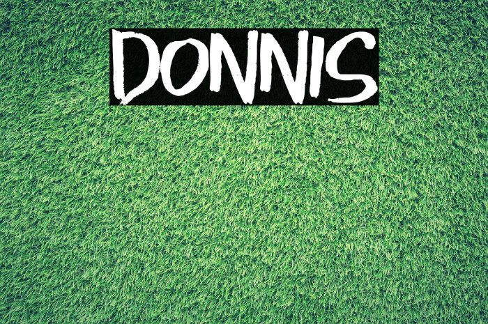 Donnis Example 3