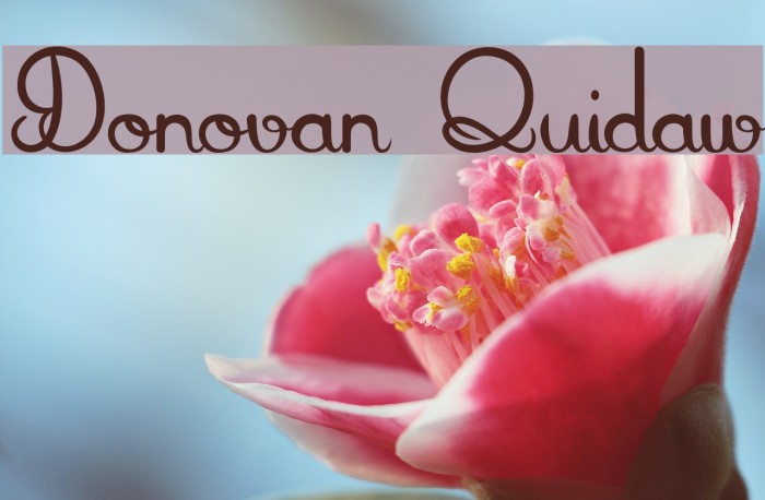 Donovan Quidaw Font examples