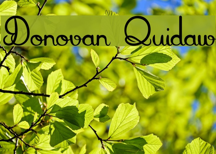 Donovan Quidaw Font examples