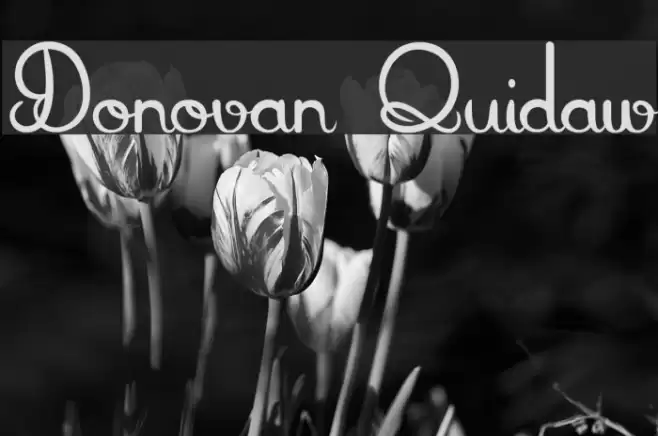 Donovan Quidaw Font examples