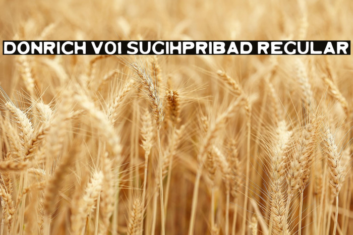 Donrich V01 Sugihpribad Regular Example 3