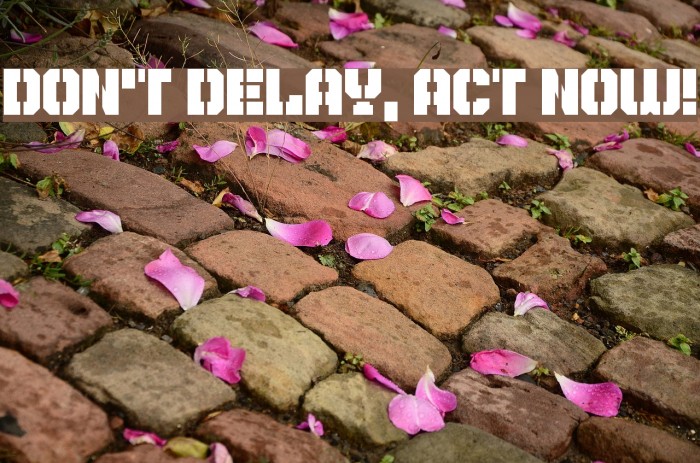 Don't Delay, Act Now! Font examples
