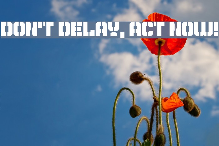 Don't Delay, Act Now! Font examples