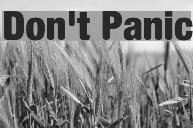 Don't Panic Example 2