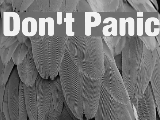 Don't Panic Example 3