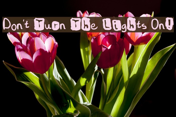 Don't Turn The Lights On! Font examples