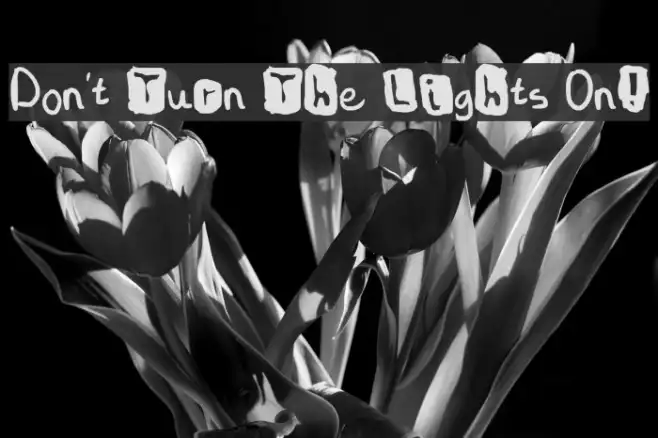 Don't Turn The Lights On! Example 3