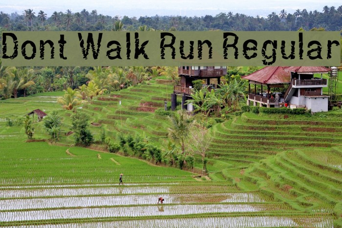 Dont Walk Run Regular Font examples