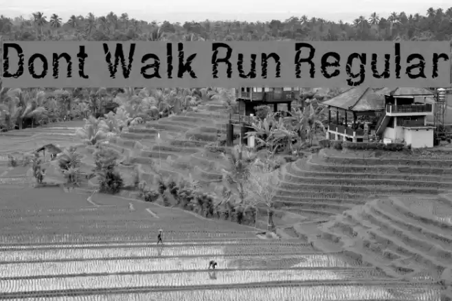 Dont Walk Run Regular फ़ॉन्ट examples
