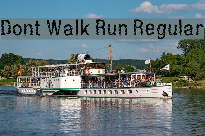 Dont Walk Run Regular Font examples