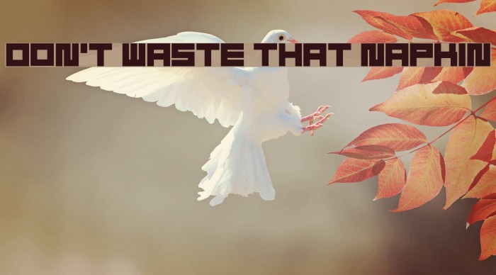 Don't Waste That Napkin Example 3