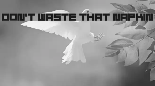 Don't Waste That Napkin Font examples