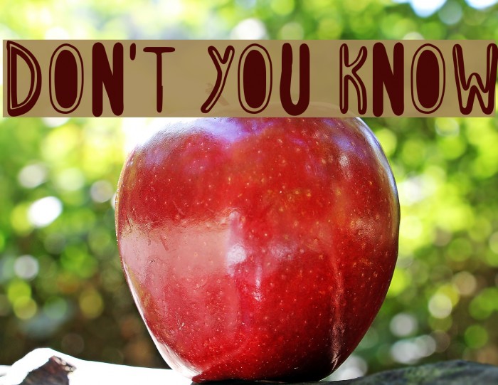 Don't You Know Font examples