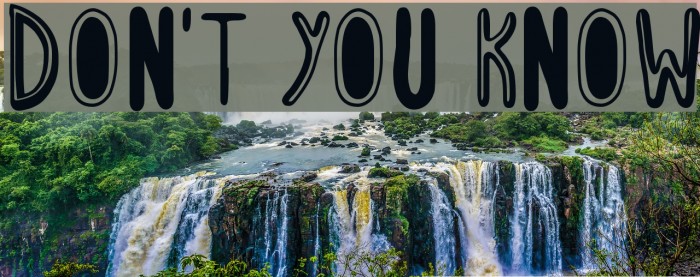 Don't You Know Font examples