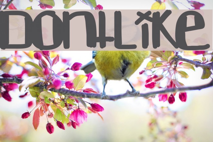 DontLike Font examples