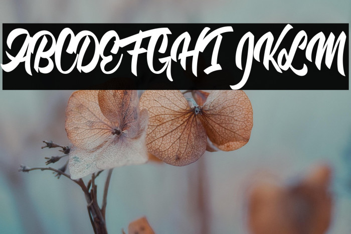 Dontchastop Personal Use Example 2