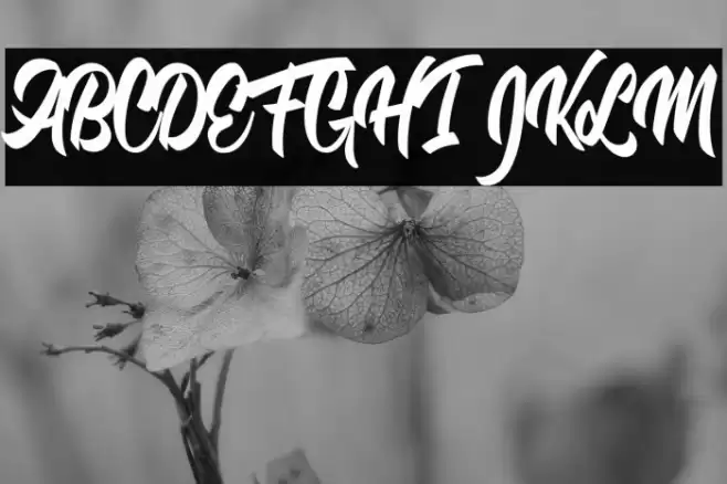 Dontchastop Personal Use Font examples